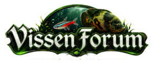 Vissen Forum Database